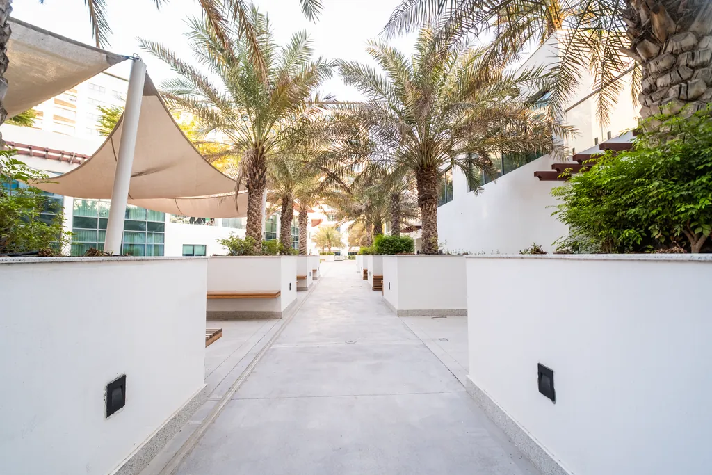 Palm-lined walkway outside the studio